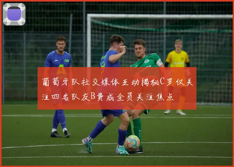 葡萄牙队社交媒体互动揭秘C罗仅关注四名队友B费成全员关注焦点